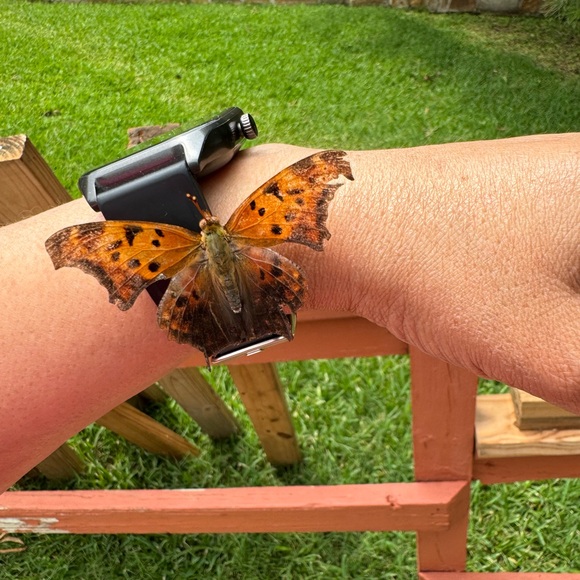 Meet your Posher, Vanessa - Picture 15 of 17